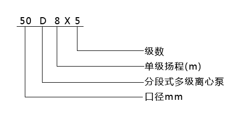 D型臥式多級(jí)泵(圖2)